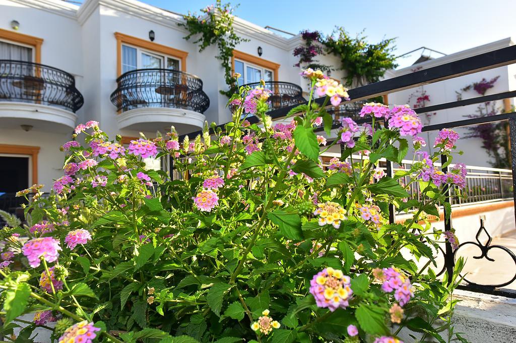 Tropicana Beach Gümbet Eksteriør billede