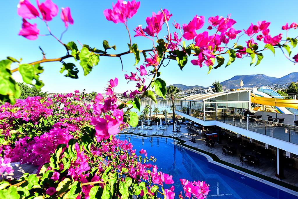 Tropicana Beach Gümbet Eksteriør billede